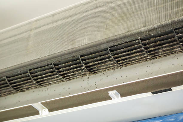 Best Commercial Air Duct Cleaning  in Imperial, CA