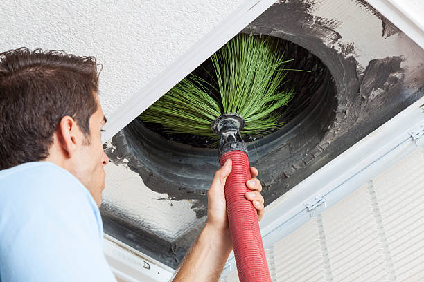 Air Duct Mold Removal in Imperial, CA